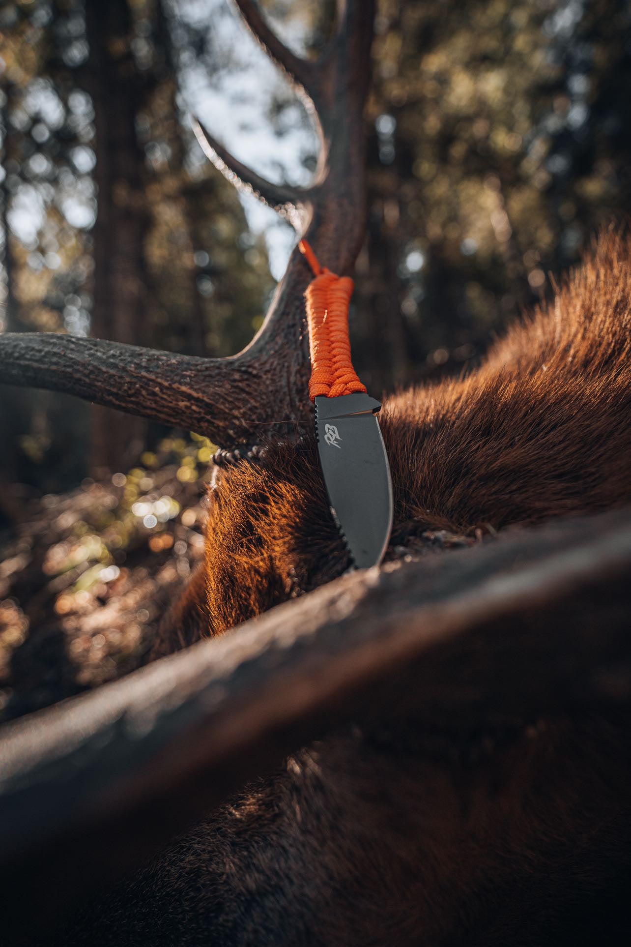 Lightweight hunting knife. Extremely sharp fixed blade hunting knife for sale.