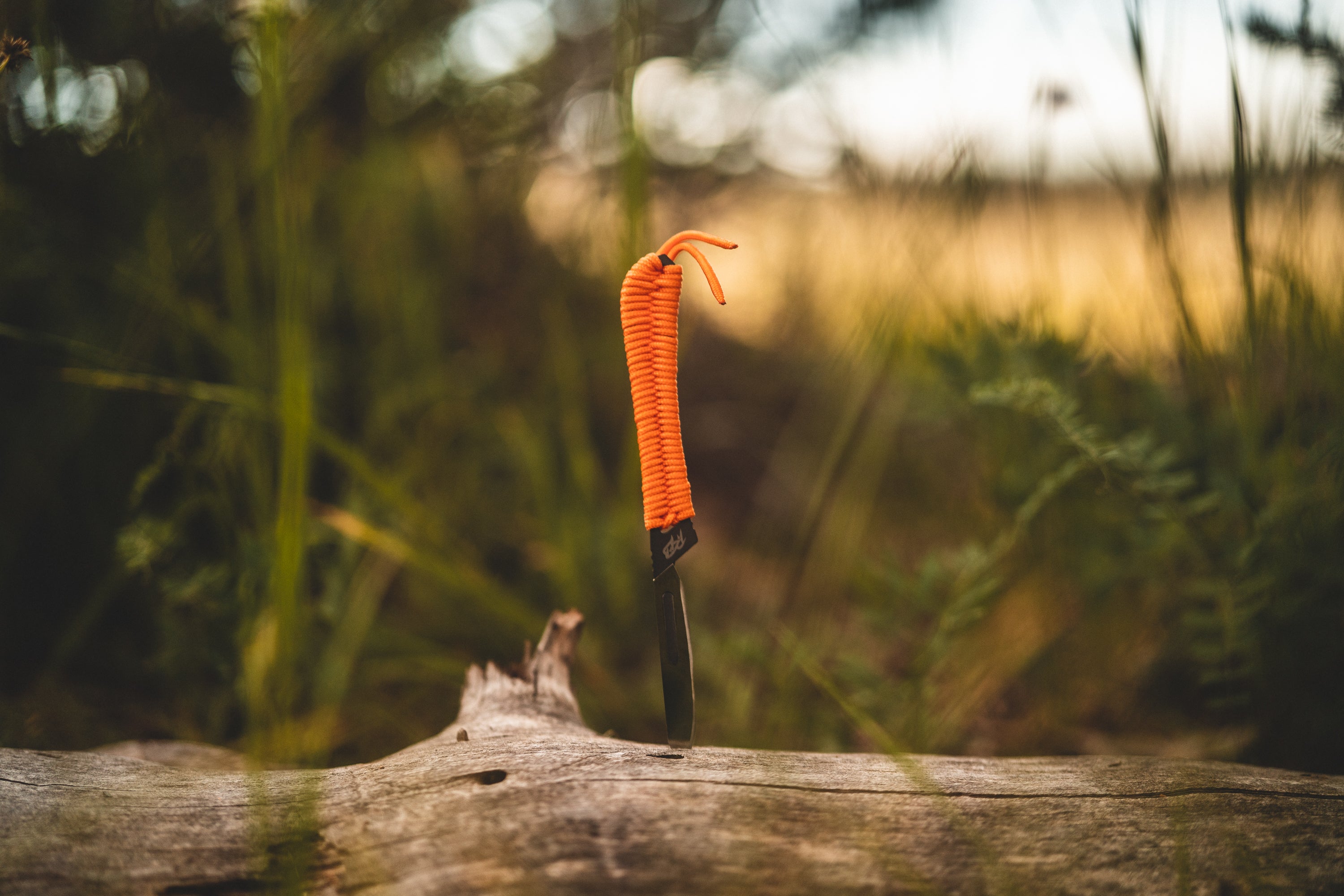 Sharp Ridges Head Razor/Sharp Ridge Blade – Ridge Belts